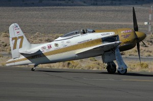 F8F-2_Rare_Bear